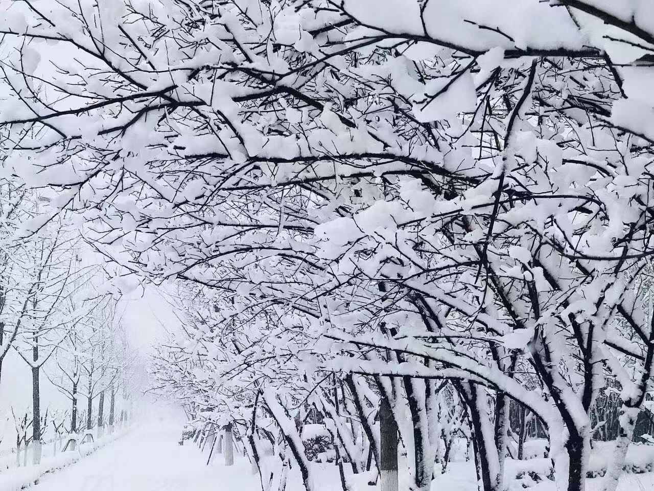 冬季到底能不能做防水